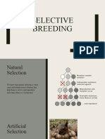 Selective Breeding