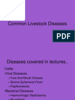 Livestock Diseases