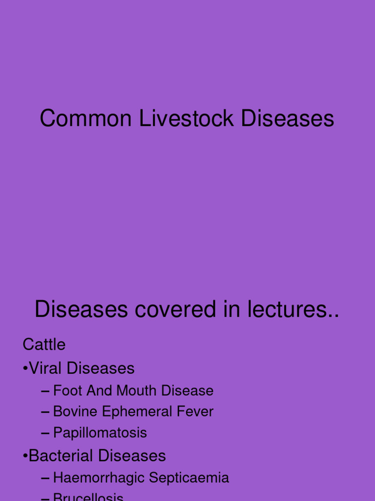 Livestock visual data 8