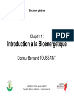 Introduction À La Bioénergétique