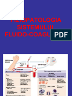Fiziopatologia Efc - S. Hemoragipare