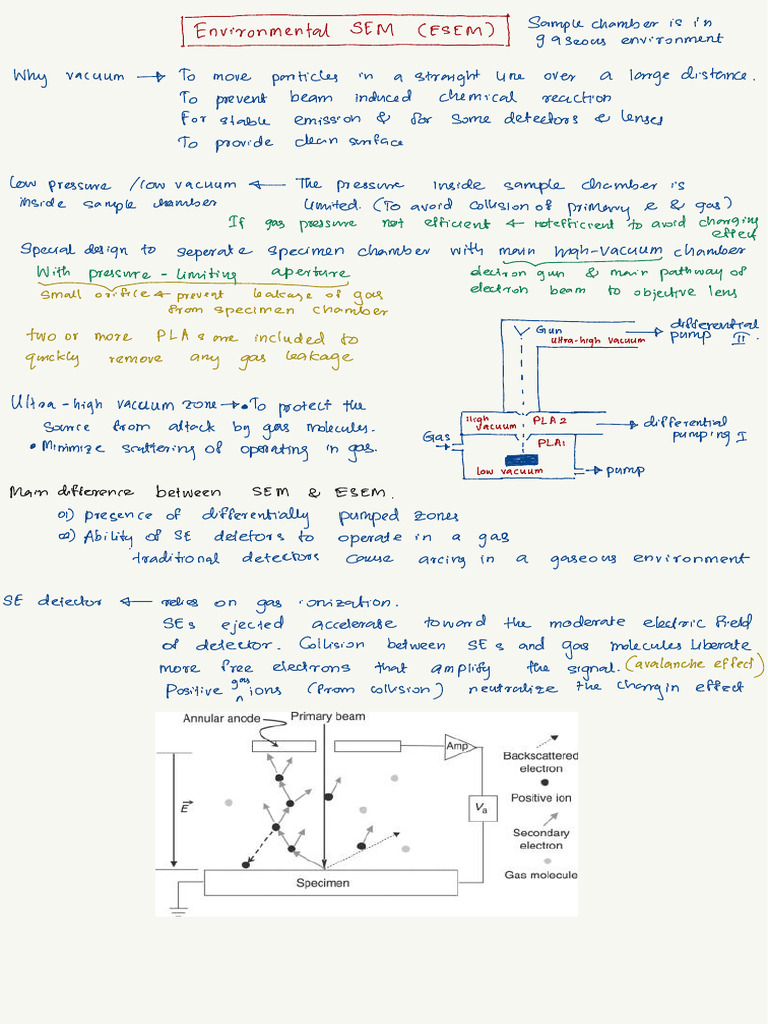 ESEM | PDF