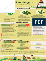 รอบรู้เรื่องกัญชา infographic (ฉบับแก้ไข)