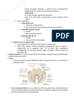 01.12 - Nervul Oculomotor