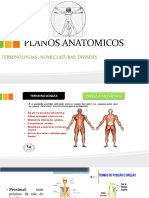 Planos Anatomicos