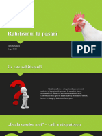 Rahitismul La Păsări