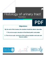 2 - Histology of Urinary Tract