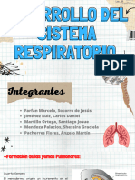 Desarrollo Del Sistema Respiratorio