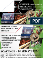 Production System Breeding and Selection