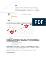 Bioquímica Humana