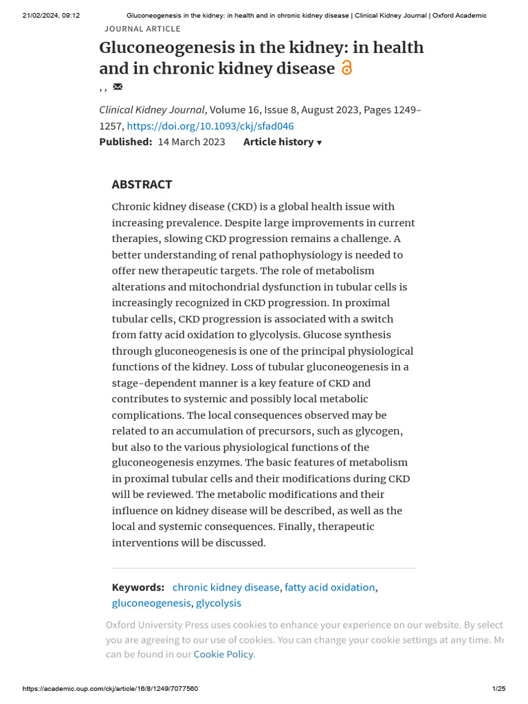 Kidney intelligence overview
