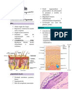 Dermatologia em Pequenos Animais