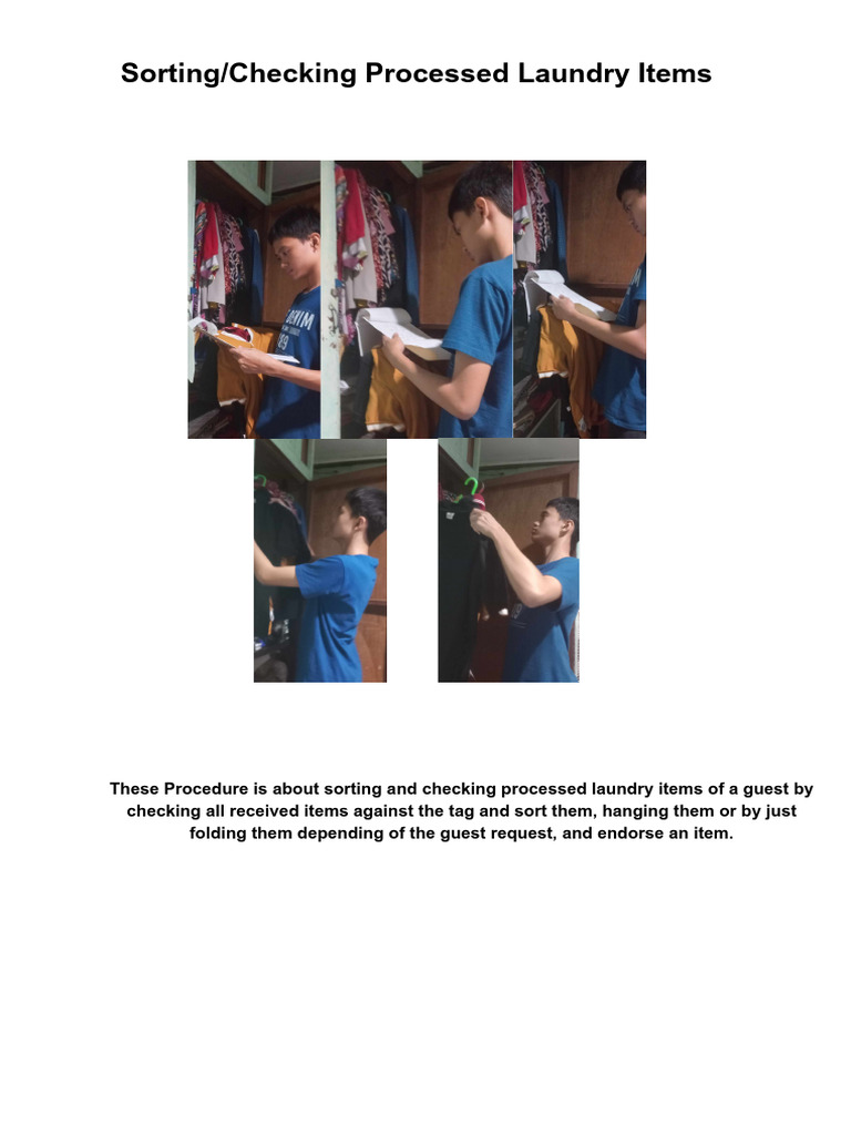 SortingChecking Processed Laundry Items | PDF