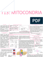 Resumen Biofisicaquimica Parte 2