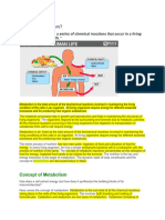 What Is Metabolism