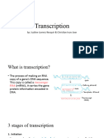 Report Transcription