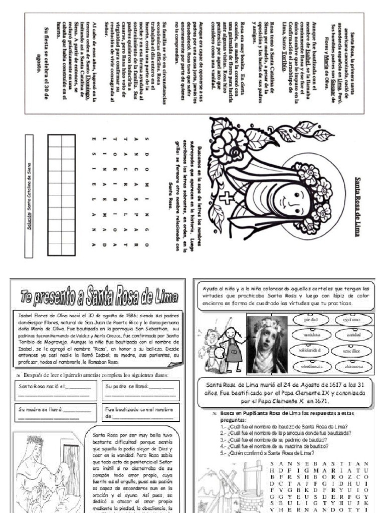 Fichas Sta Rosa | PDF