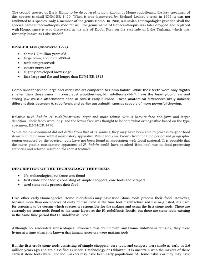 Overview of Homo rudolfensis Discovery | PDF | Homo | Paleoanthropology