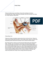 Anatomi, Histologi, Dan Fisiologi Telinga