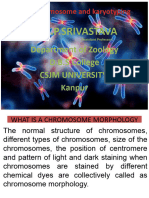 Fish Chromosome and Karyotyping
