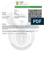 E Vaccination Certificate 2023-6-7 v2