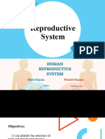 19 Reproductive System