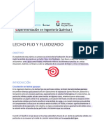 Lecho Fijo y Fluidizado