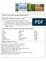 EFE cl.3 stiințe (zonele naturale)