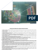 Estructura Interna Del Corazón