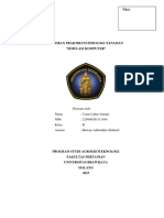 Laporan Praktikum Fisiologi Tanaman "Simulasi Komputer"