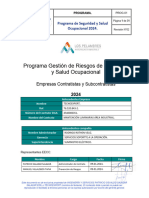 Programa de Seguridad y Salud Ocupacional 2024