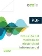 Informe Anual 2022 ESP