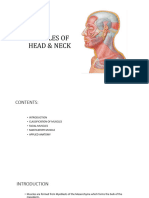 Bau p1 Mimic and Mastication Muscles 2024