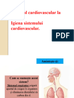 Sistemul Cardiovascular CL 6