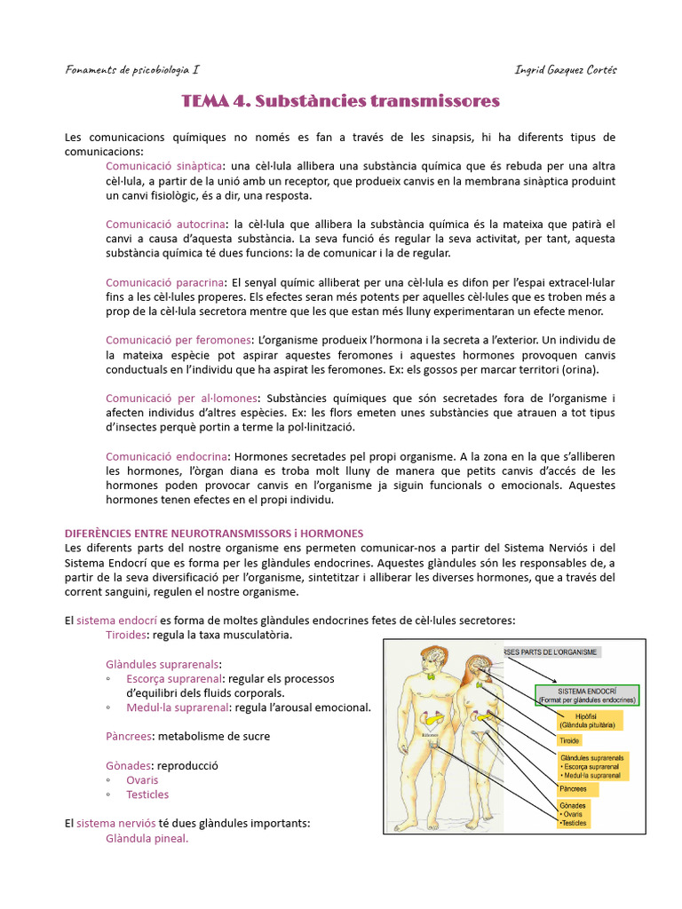 APUNTS. FP1 - Tema 4 | PDF