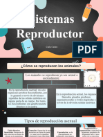 Sistemas Reproductor