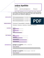 Curriculum Vitae