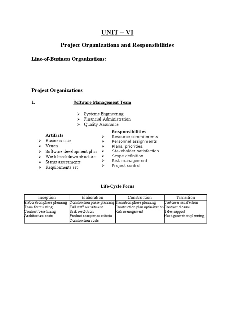 Project Organization and Team Responsibilities | PDF
