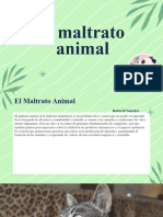 Maltrato Animal 6A