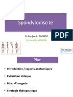 DIU IOA 2020 21 9 Session2 Mardi AM Spondylodiscite Blondel Menard