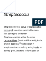 Streptococcus - Wikipedia