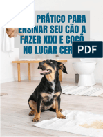 Ensinando Seu Cão A Fazer Xixi e Coco No Lugar Certo