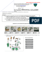 GUIA 5 BIOLOGIA 8° Reproduccion Plantas