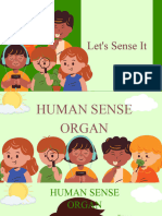 Human-Sense-Organ 20231203 181550 0000