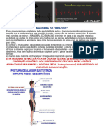Alongamentos PDF