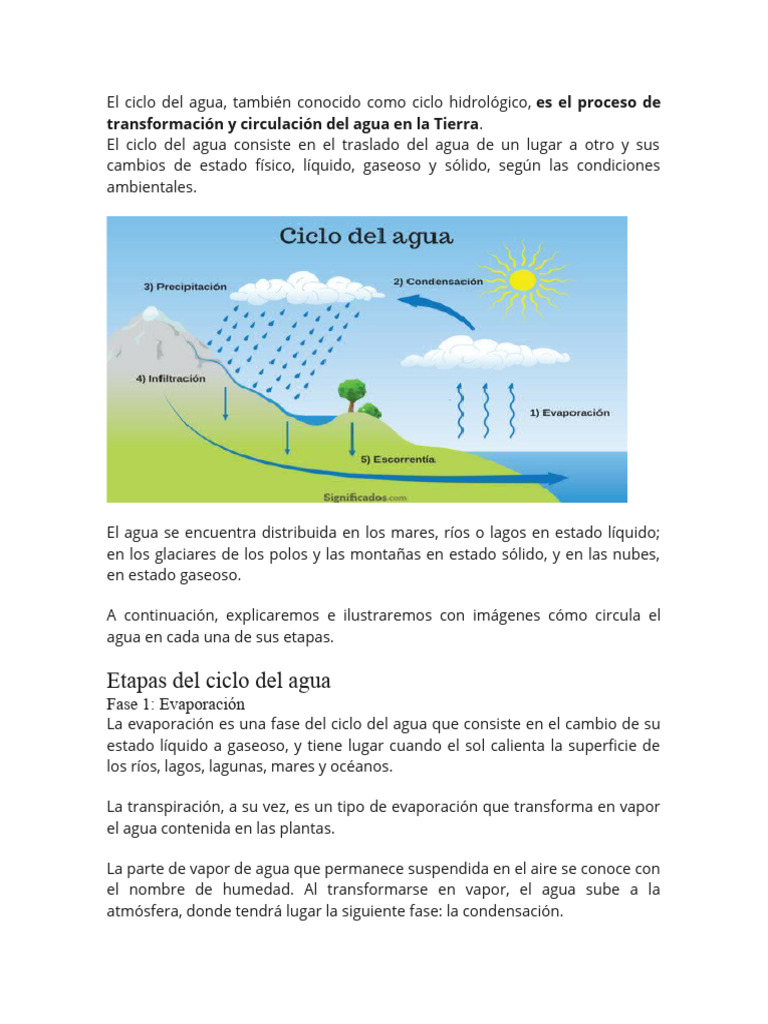 El Ciclo Del Agua | PDF | El ciclo del agua | Agua