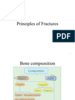 Principles-Of-Fractures