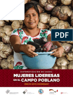 Sistematización de Casos: Mujeres Lideresas en El Campo Poblano