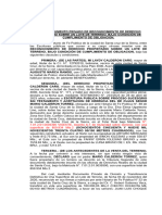 Documento Ray 2