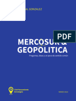 Mercosur and Geopilitica FlavioFlorealGo